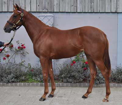 Book 2 lot 1274
